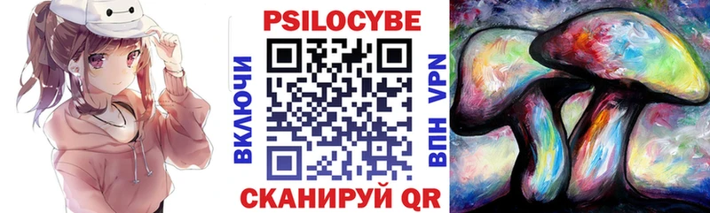продажа наркотиков  Можайск  Галлюциногенные грибы Psilocybine cubensis 